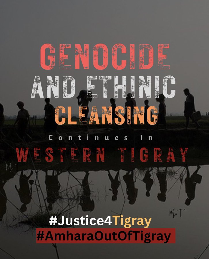 Romhai_H's tweet image. Day 1975 of the #TigrayGenocide:

More than 3 years after the Pretoria Peace Agreement, #Tigray is not at peace. It is in a state of suspended crisis, where war has stopped, but suffering has not.

This is what “no war, no peace” looks like.

#Justice4Tigray

#TigrayIsSuffering