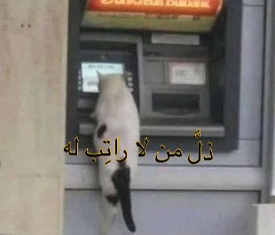 الحنكليس tweet media