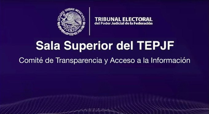 Tribunal Electoral del PJF tweet media