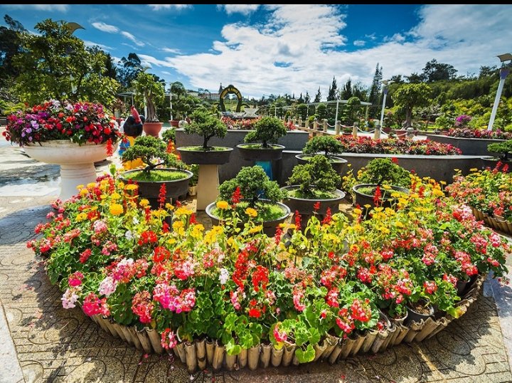 ميار tweet media