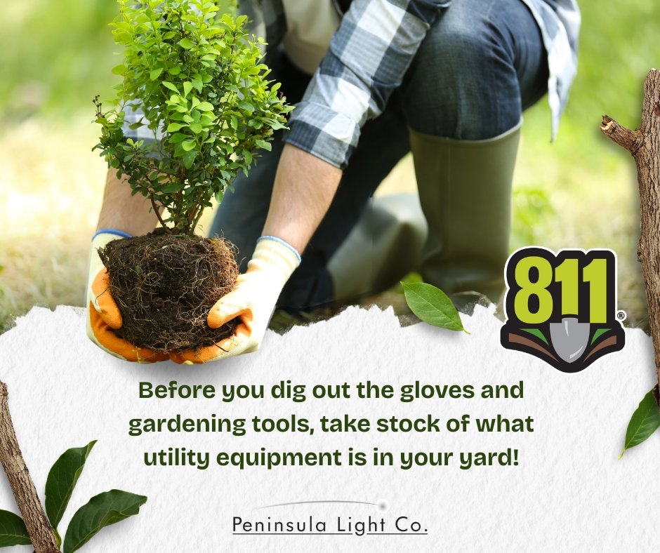 Peninsula Light Co. tweet media