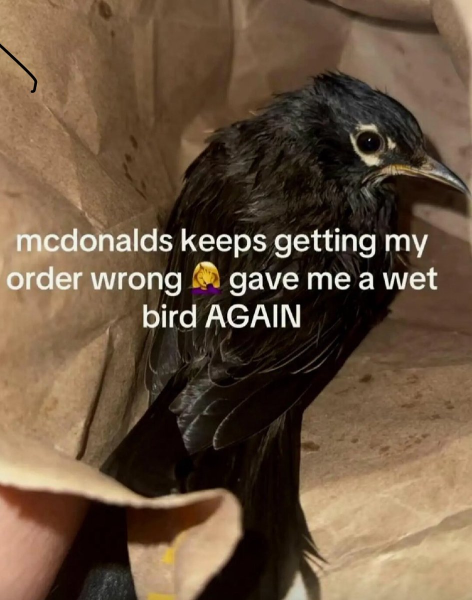 DeviantPigg tweet media