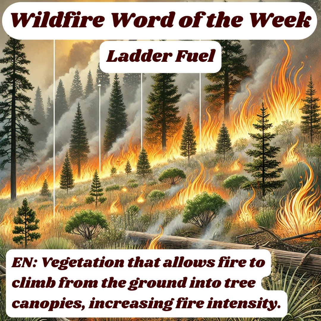 WUI Communities tweet media