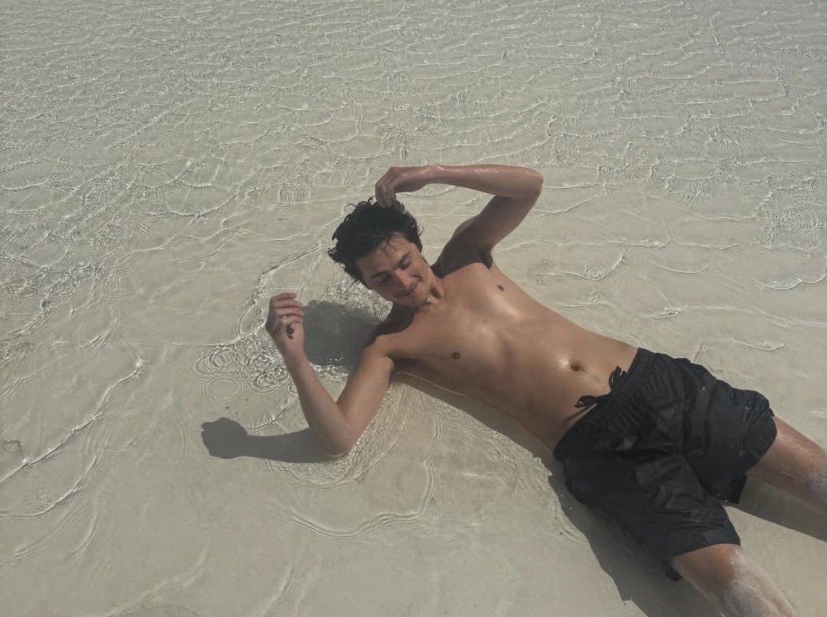 Alexander 𖤓 Nietzschean Vitalist tweet media