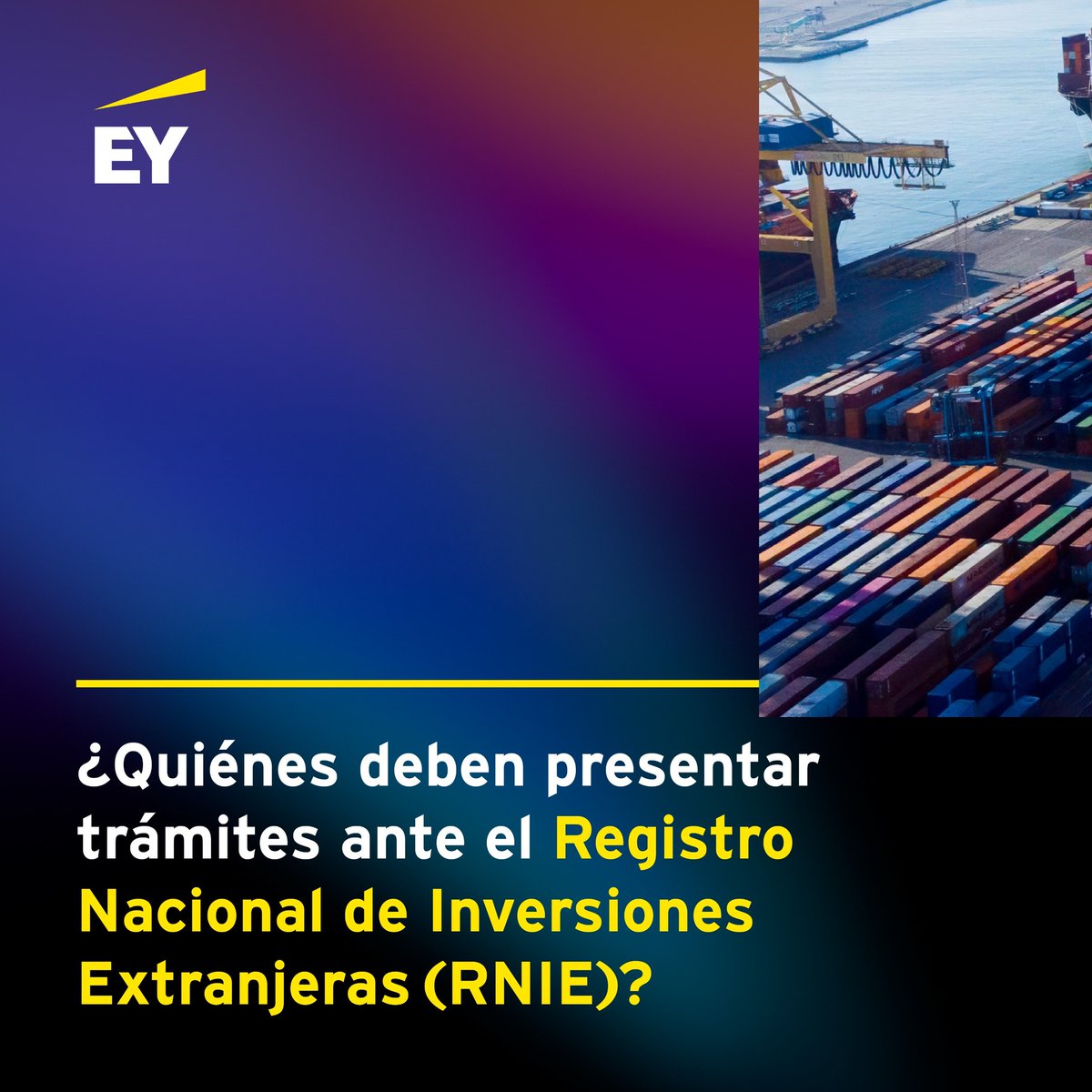 abs_tw's tweet photo. ¿Tu empresa tiene inversión extranjera en México? Es importante saber quiénes están obligados a presentar trámites ante el Registro Nacional de Inversiones Extranjeras y qué tipo de inversión debe reportarse. Te invito a conocer más: https://t.co/xDGP9UwlsJ
#EYMéxico #EYPost https://t.co/Rls8JYctsO