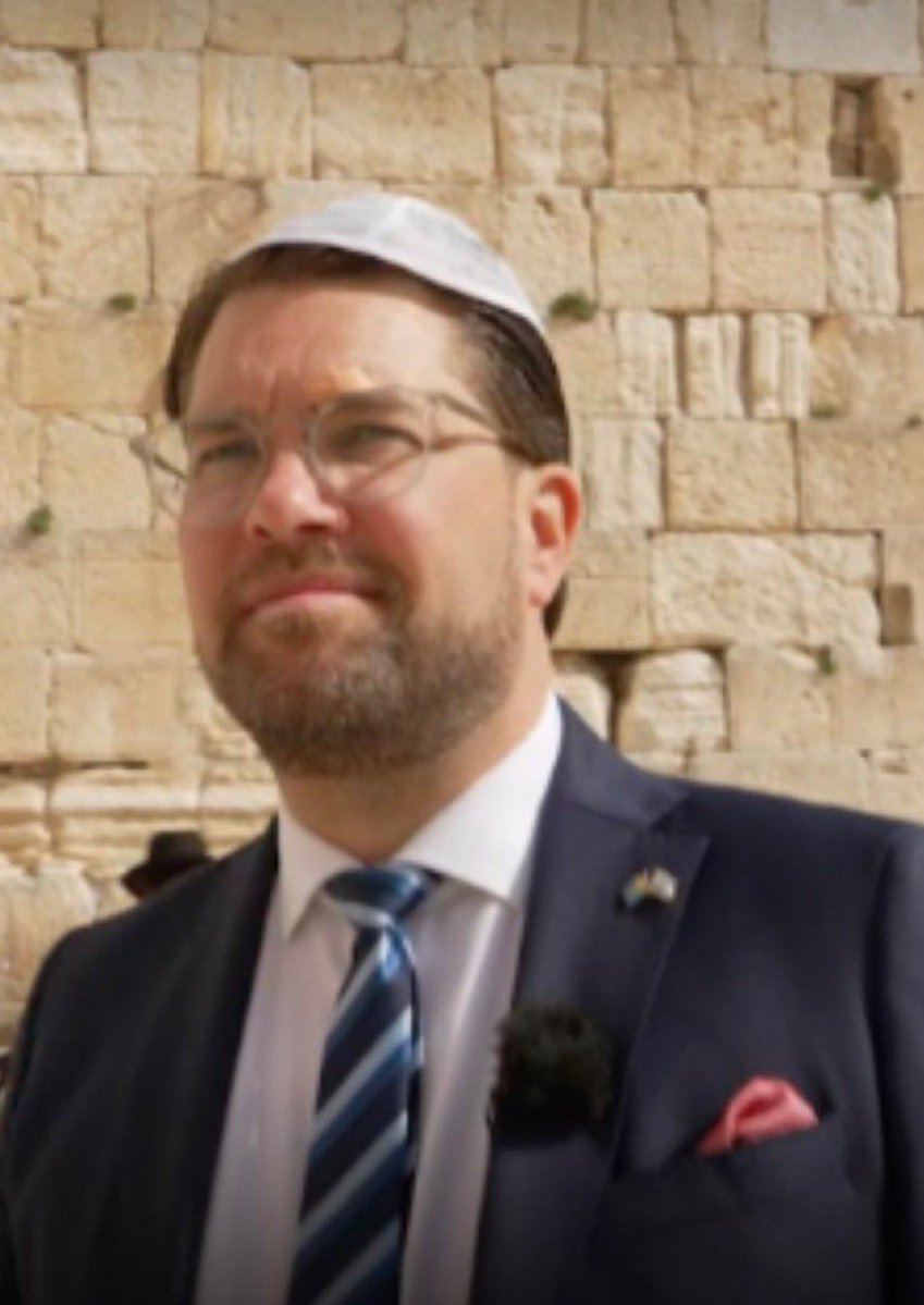 Annika Strandhäll tweet media