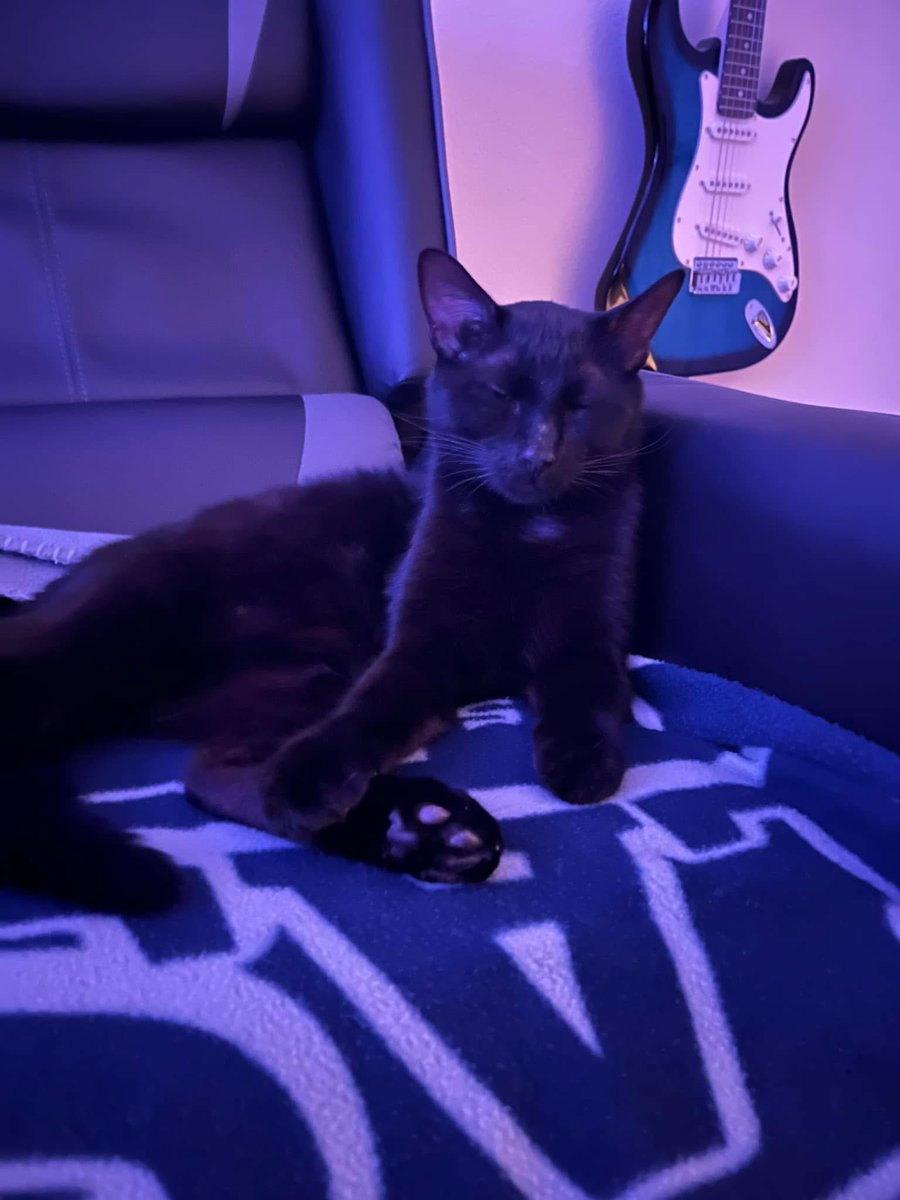 エージェント・オデガード tweet media