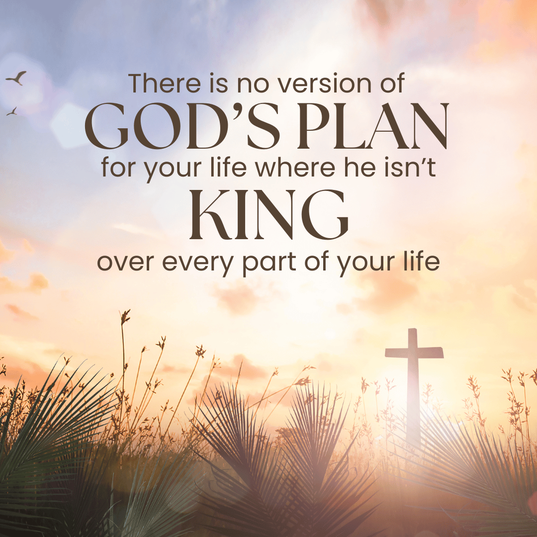 Matthew Ruttan tweet media