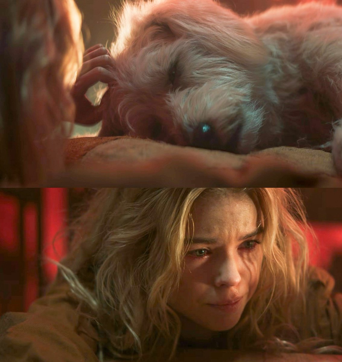 Jazz ⧗ All Along tweet media