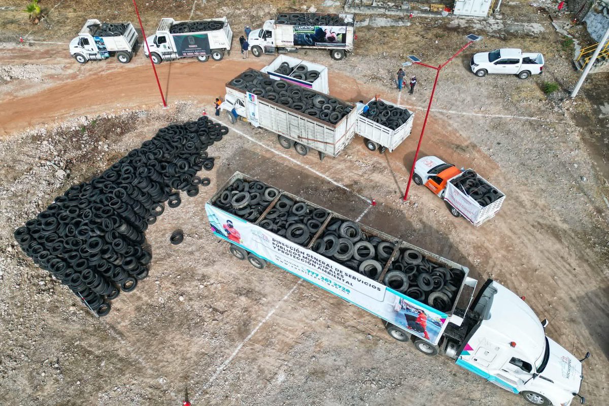 Margarita González Saravia tweet media