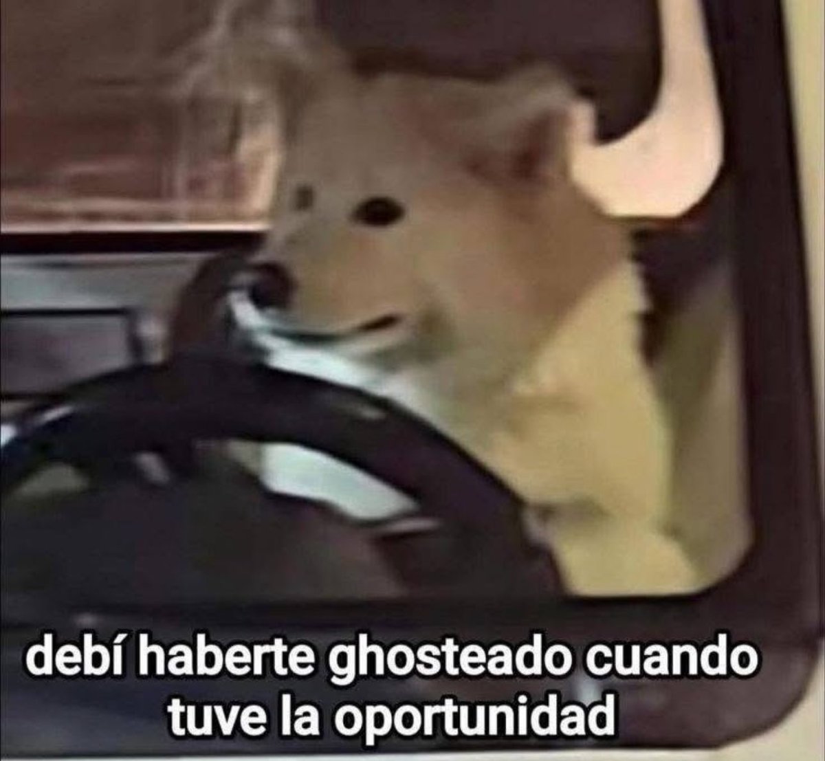 piña sin pizza tweet media