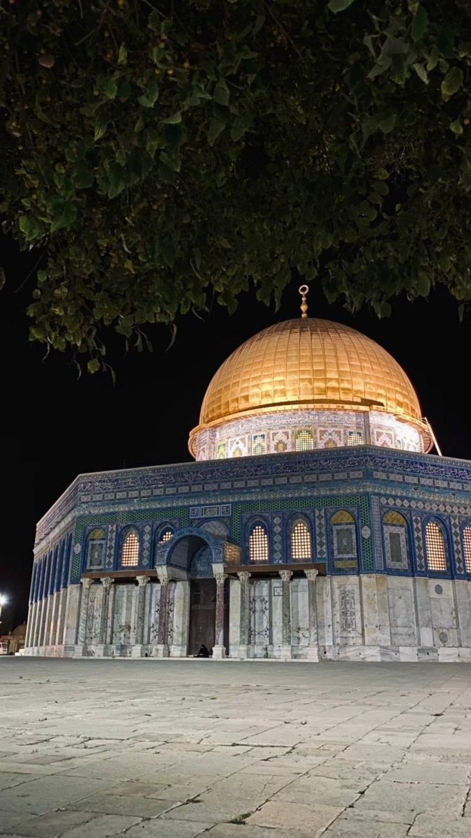 لا تتوقفوا عن الحديث والتذكير وهذا أقل القليل 

أكثر من شهر وأقصانا بلا آذان، بلا صلاة، بلا مصلين