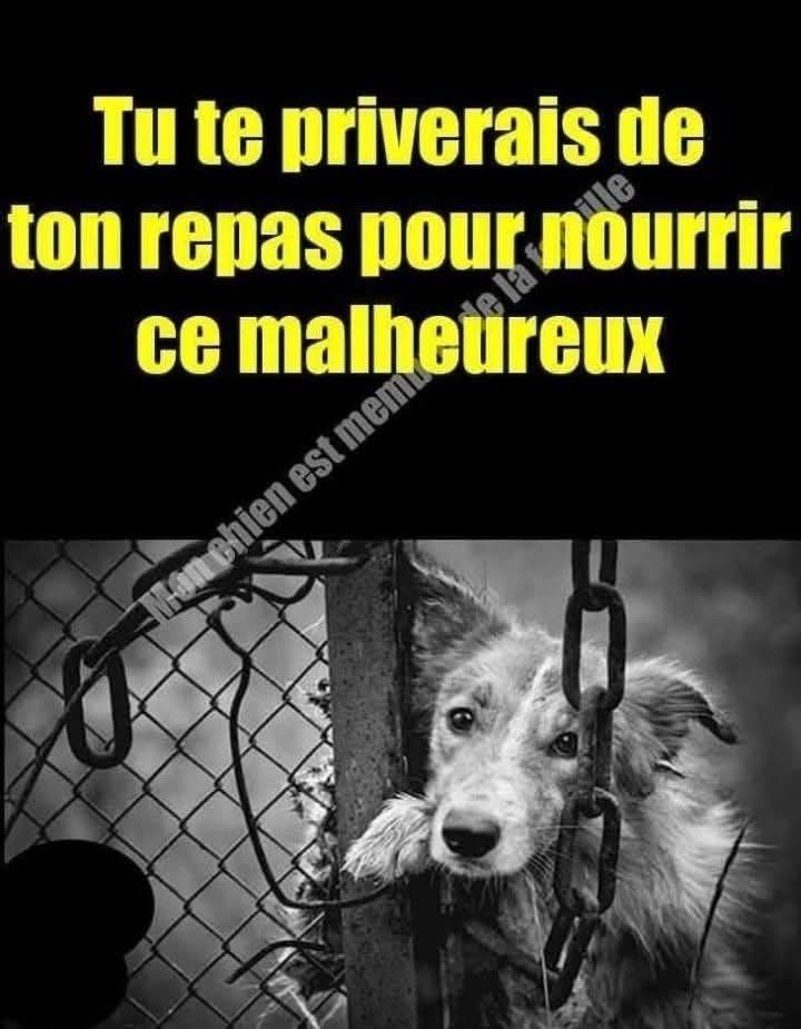 LolitA🌸🦋 tweet media