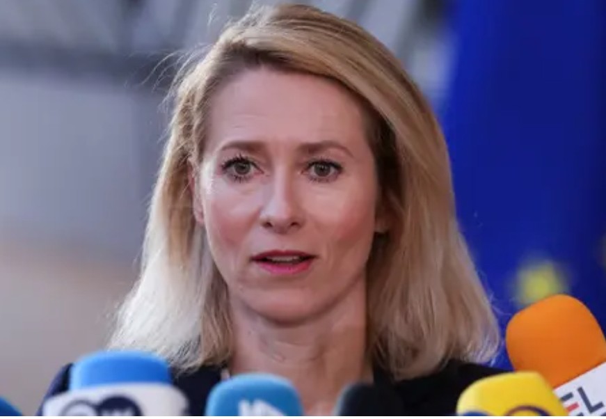 D.Radka, #NAFO 🇨🇿🤝🇺🇦 tweet media