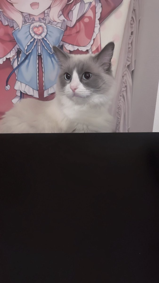 ちょとマテ茶 tweet media