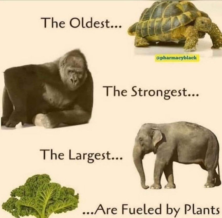 Say No To Trading tweet media