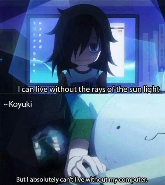 TomokoLovers tweet media