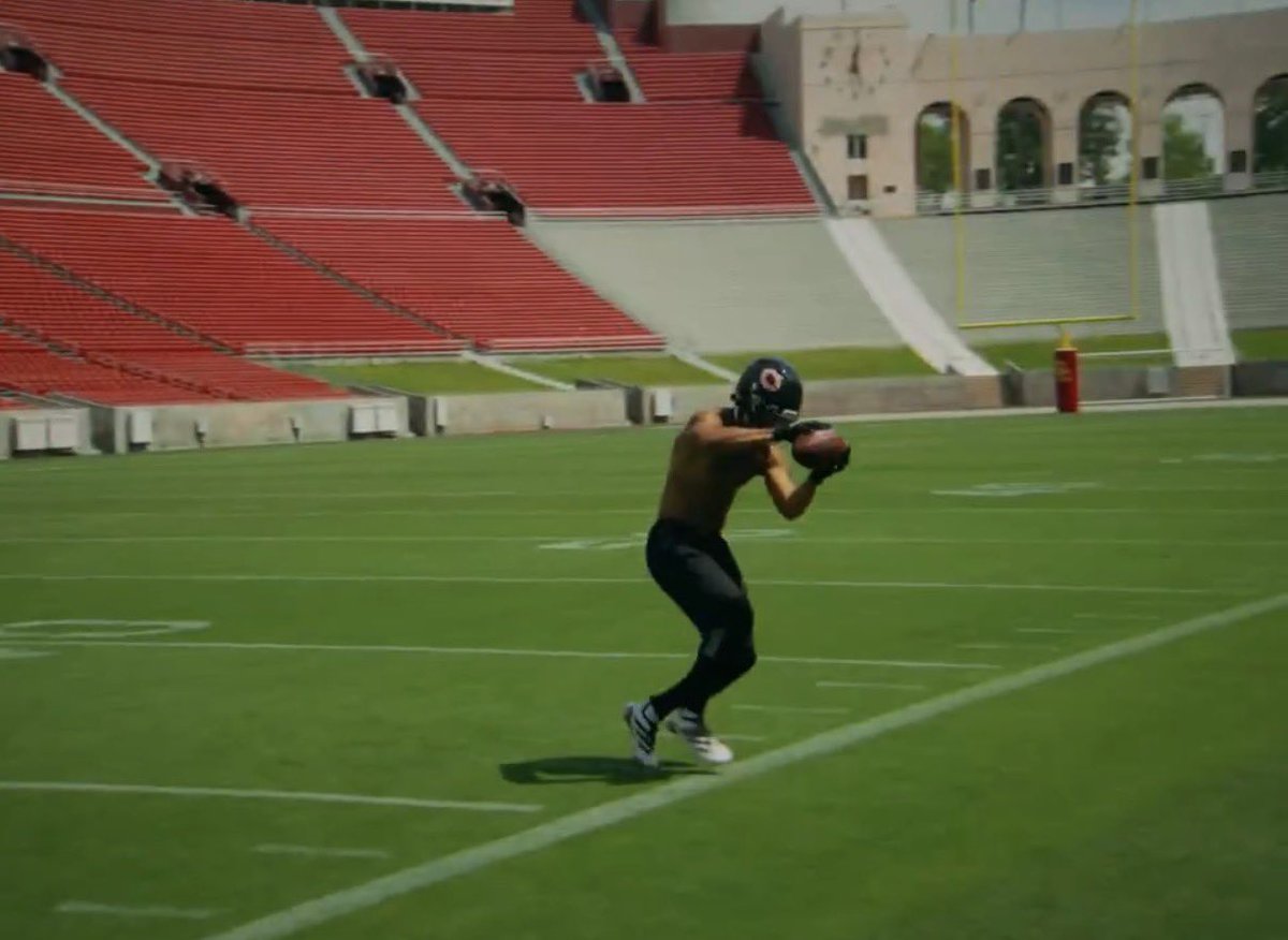 BearsShowYo tweet media