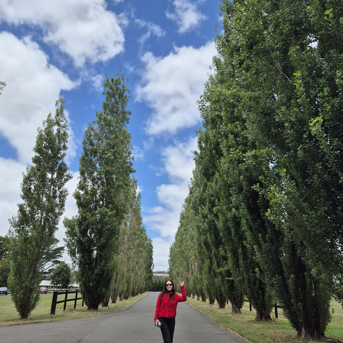 Yerin Ha Source tweet media