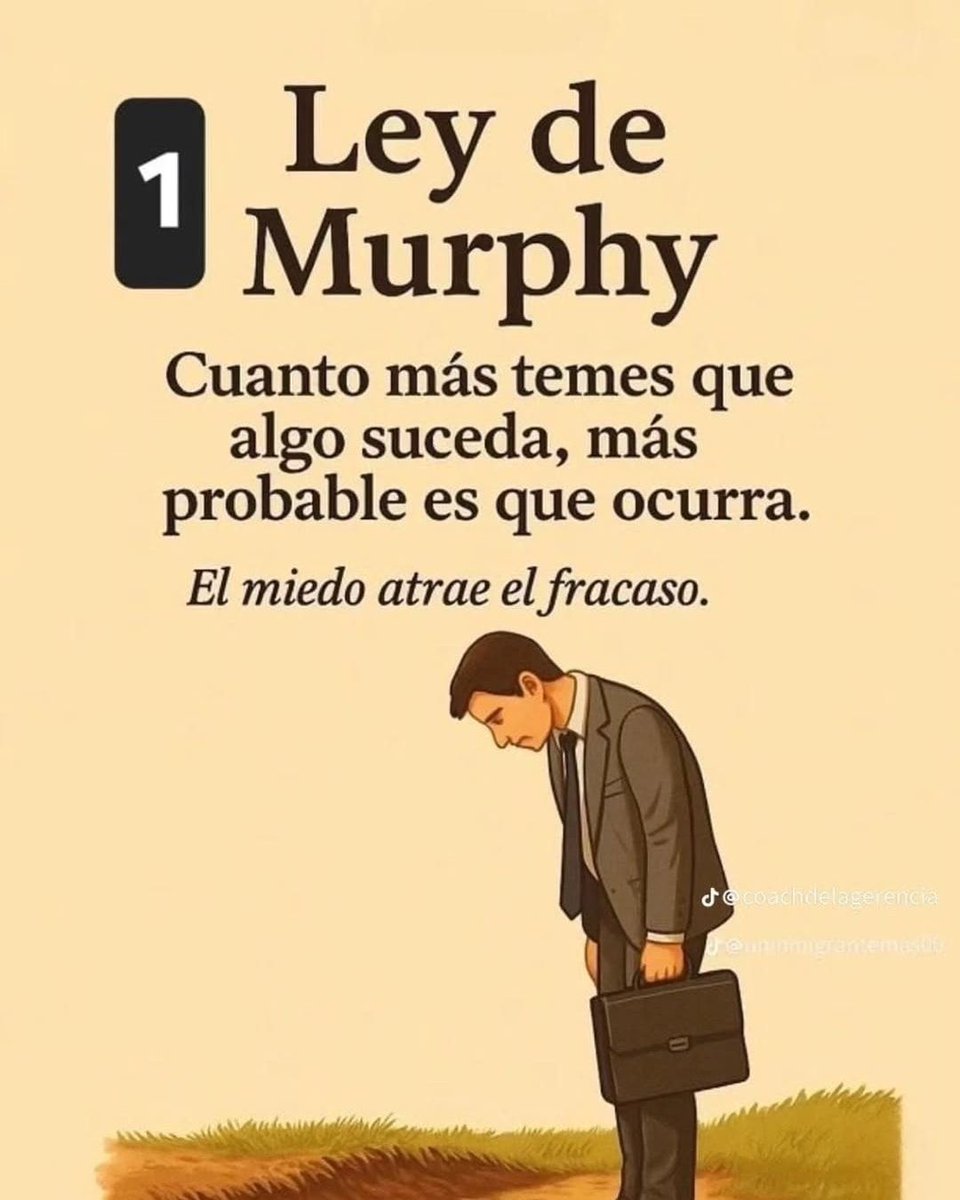 Rafa Alpha tweet media