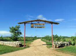 Diario Mayabeque tweet media