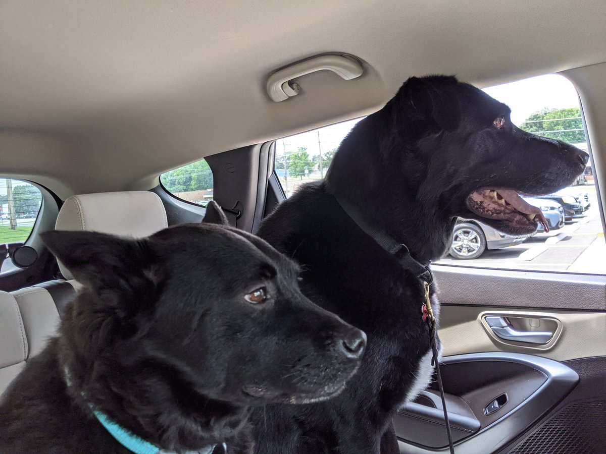 Bani Arcade Bunny 👾🐰 tweet media