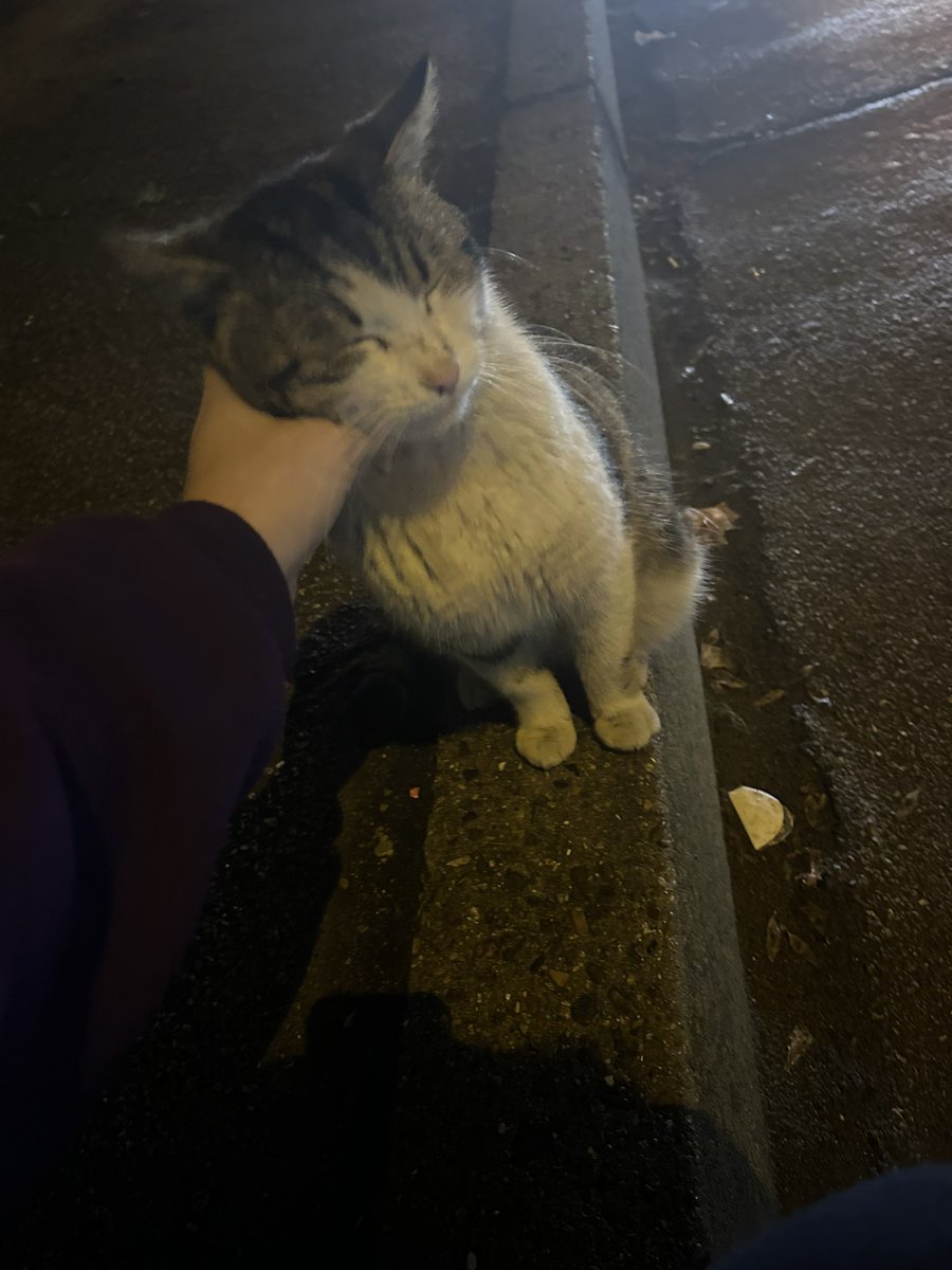 кочівник 🇺🇦🦊 tweet media