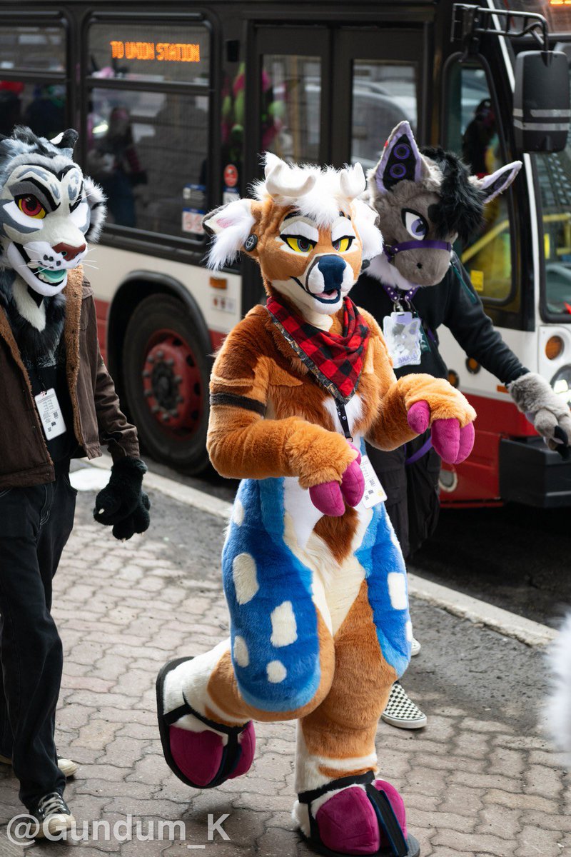 Aspen🍂(Ghostface Deer)🍂@FE2026 tweet media