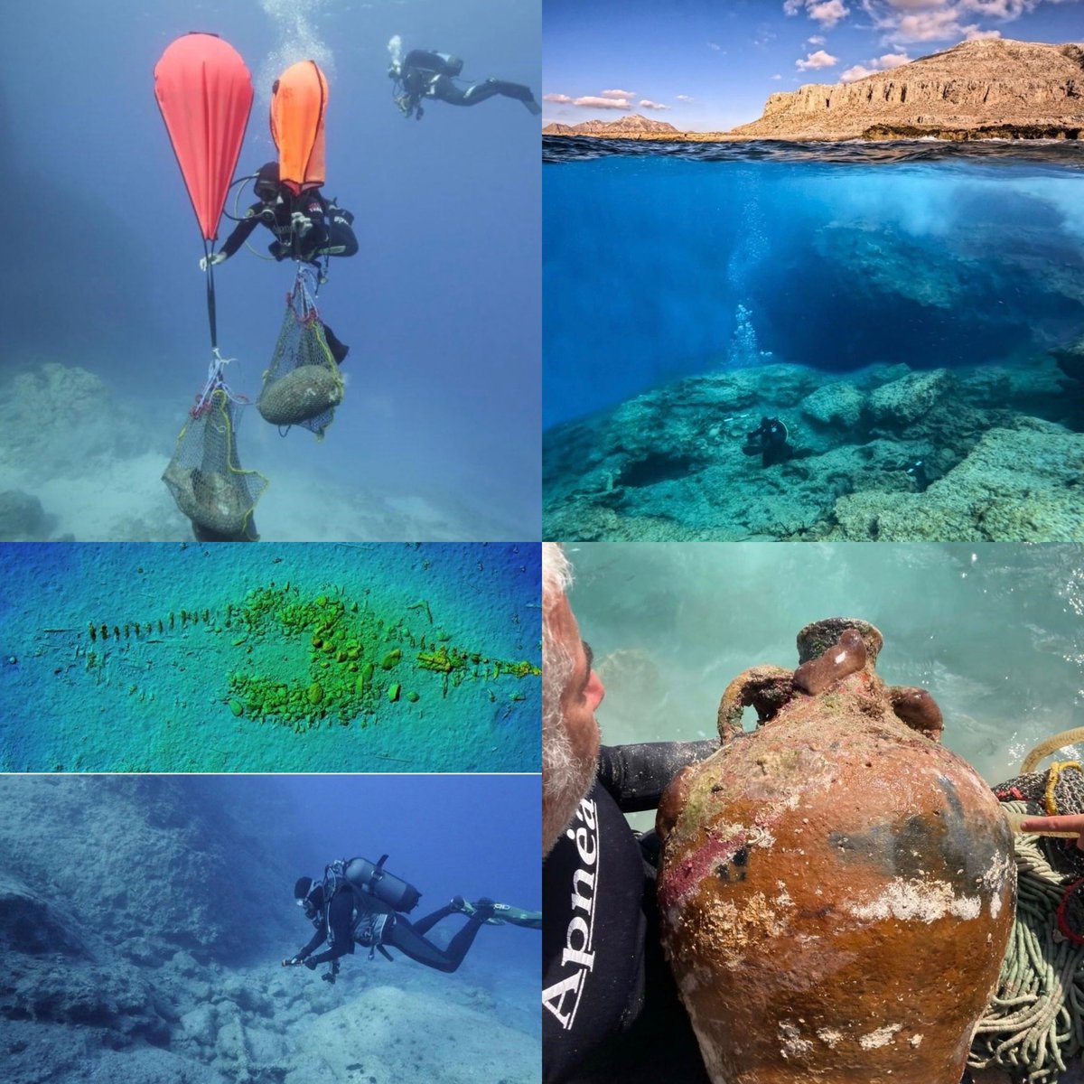 Alexia Kefalas tweet media