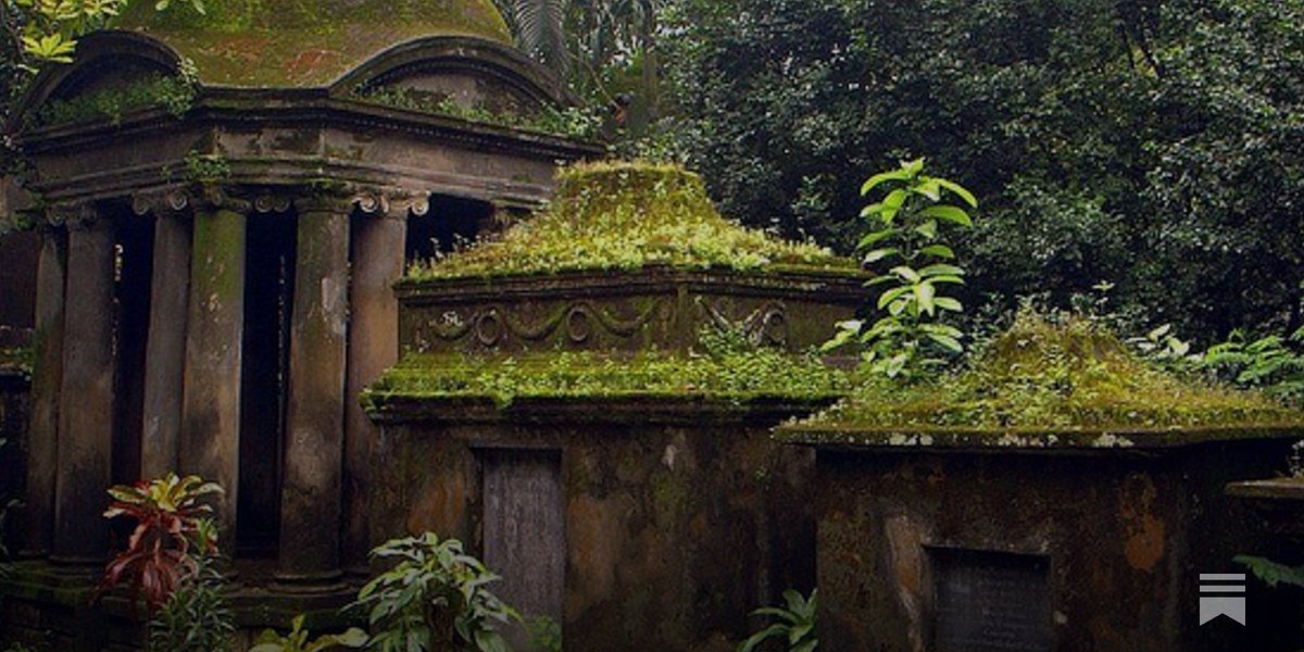 𝕋𝕙𝕖 𝔽𝕖𝕕𝕖𝕣𝕒𝕝𝕚𝕤𝕥 1776 tweet media