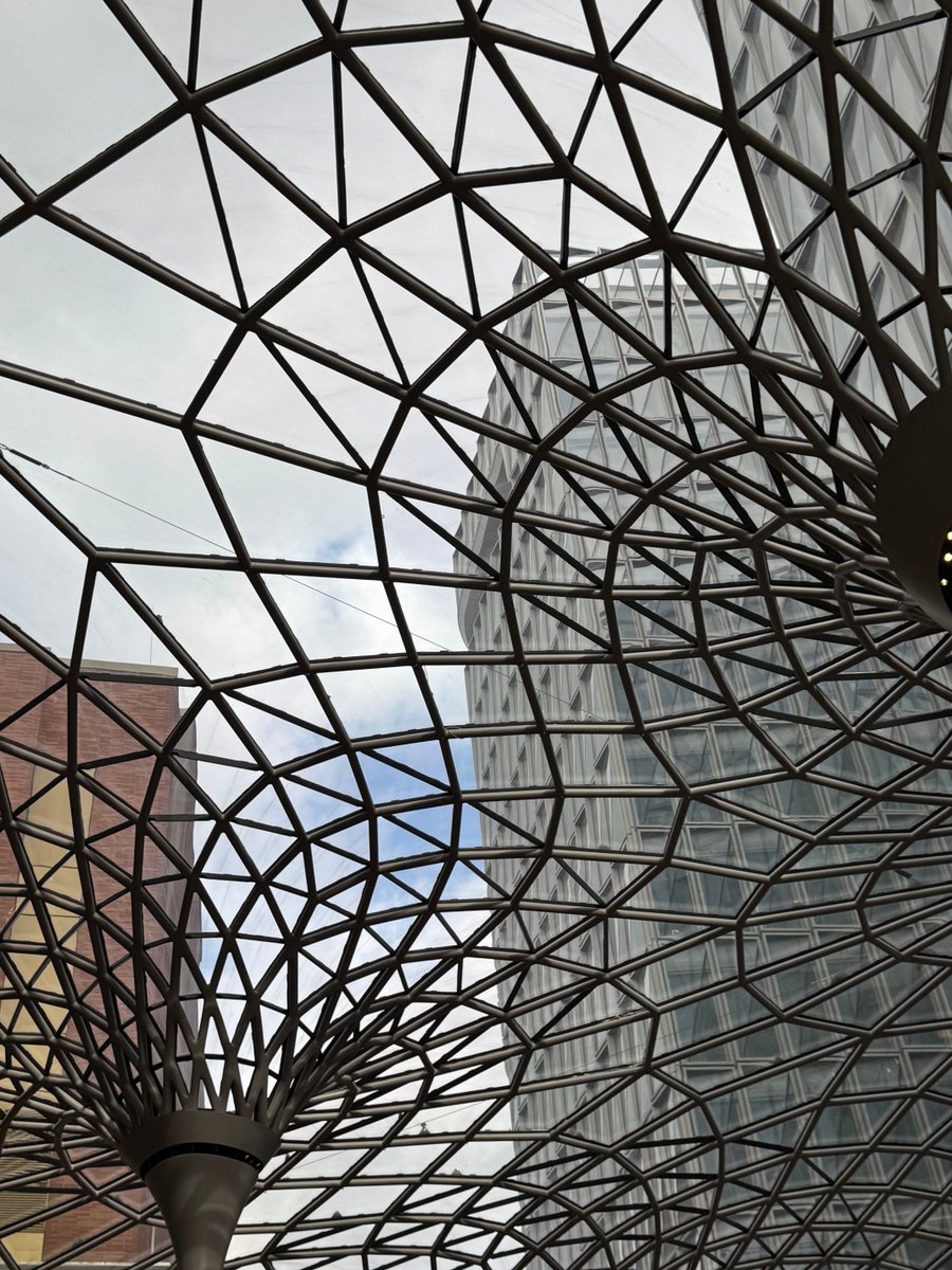 funnyson tweet media