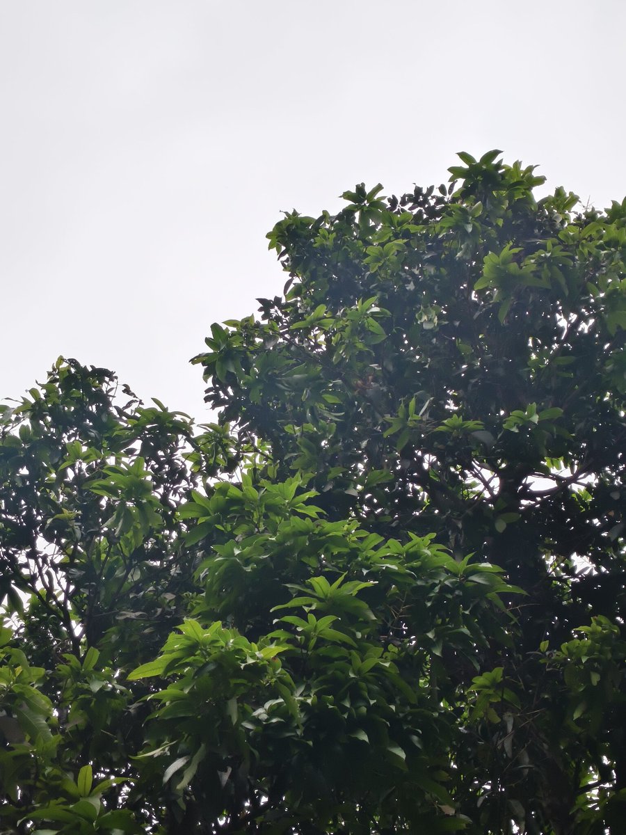 Shabbir 「💸 ✦ 🗿」 tweet media