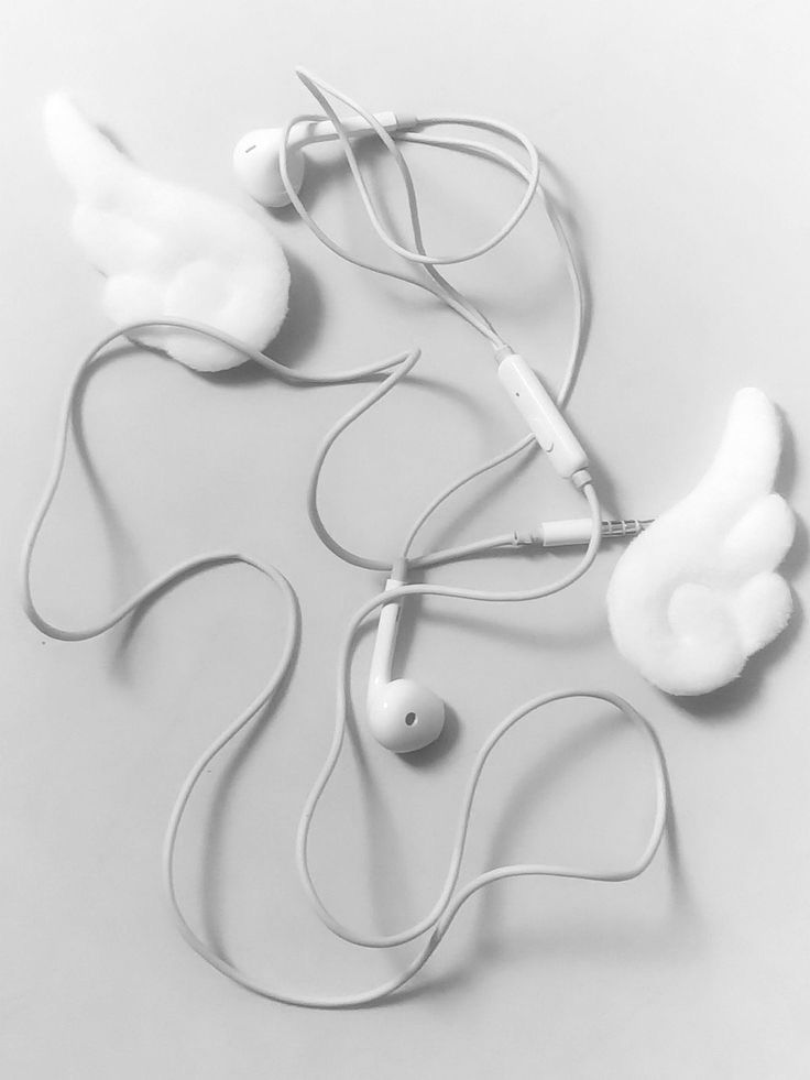 Dαzαı ⭑ slow dm tweet media