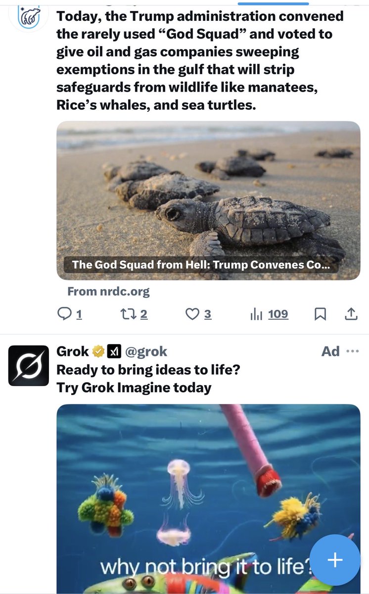 AmesEla tweet media