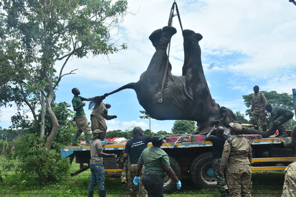 𝘁𝗻𝗱𝗡𝗲𝘄𝘀, Uganda tweet media