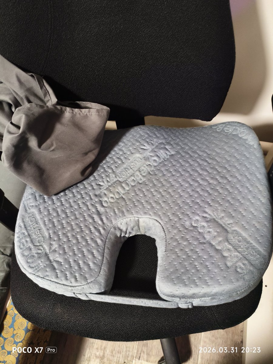 XeЙTbpucT ₿ tweet media