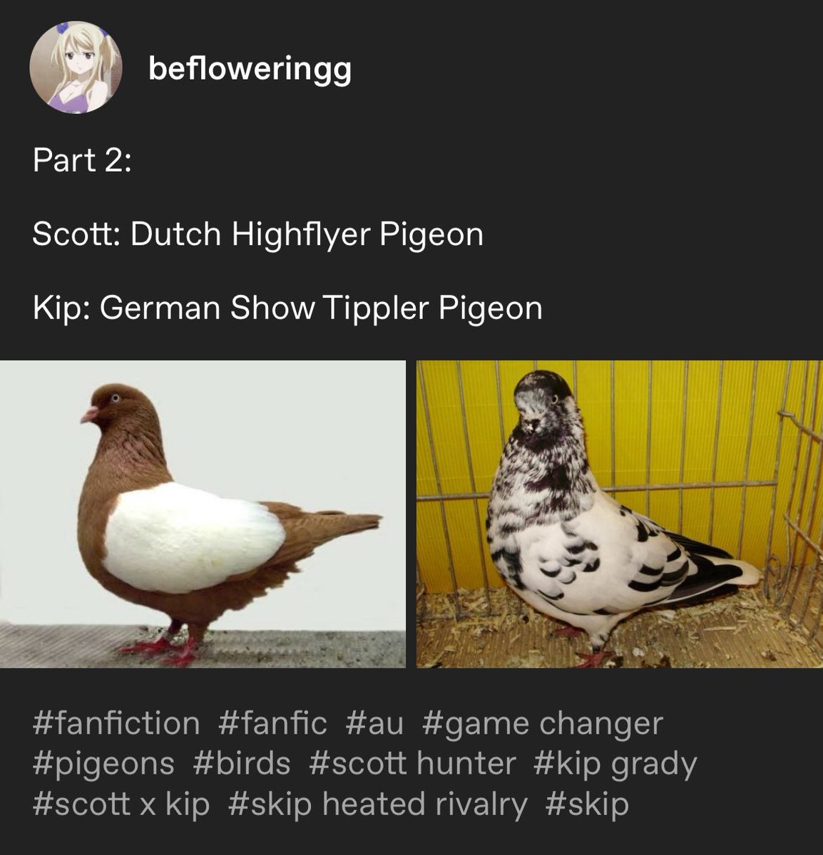 bear | mutlifandom tweet media