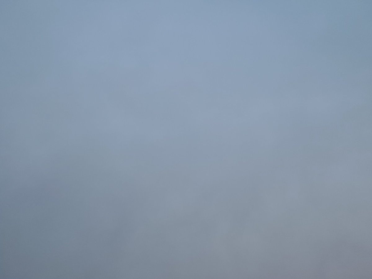 Maid.in.Cornwall_Cat 🇬🇧 tweet media