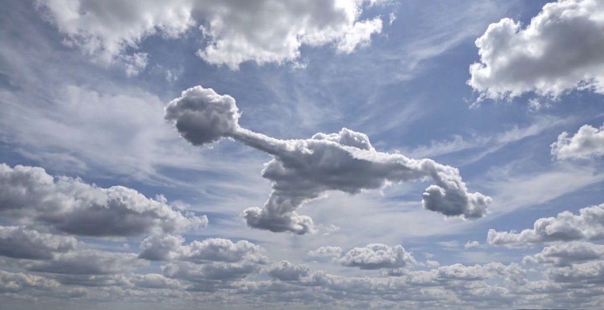 #Johnny Paul 💎 tweet media