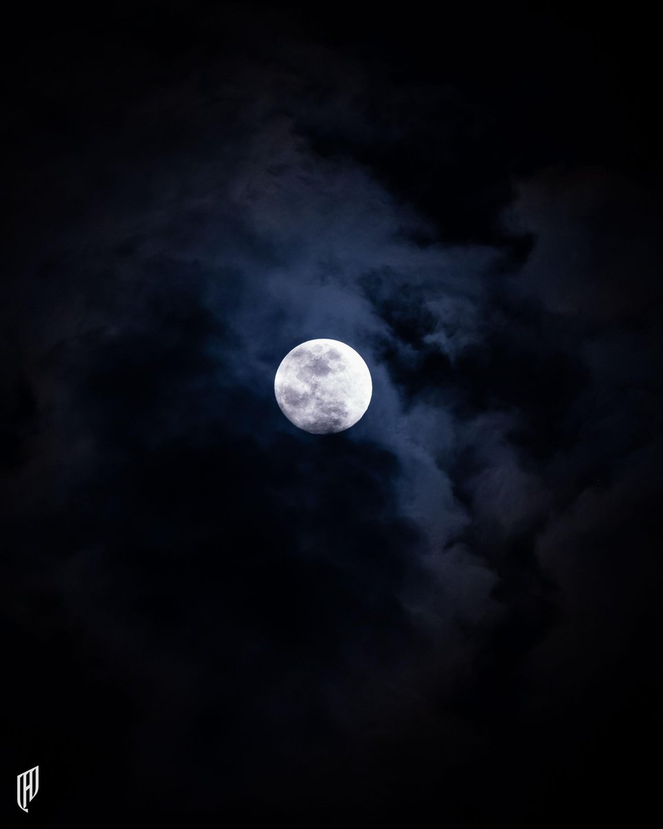 نادي القادسية السعودي tweet media