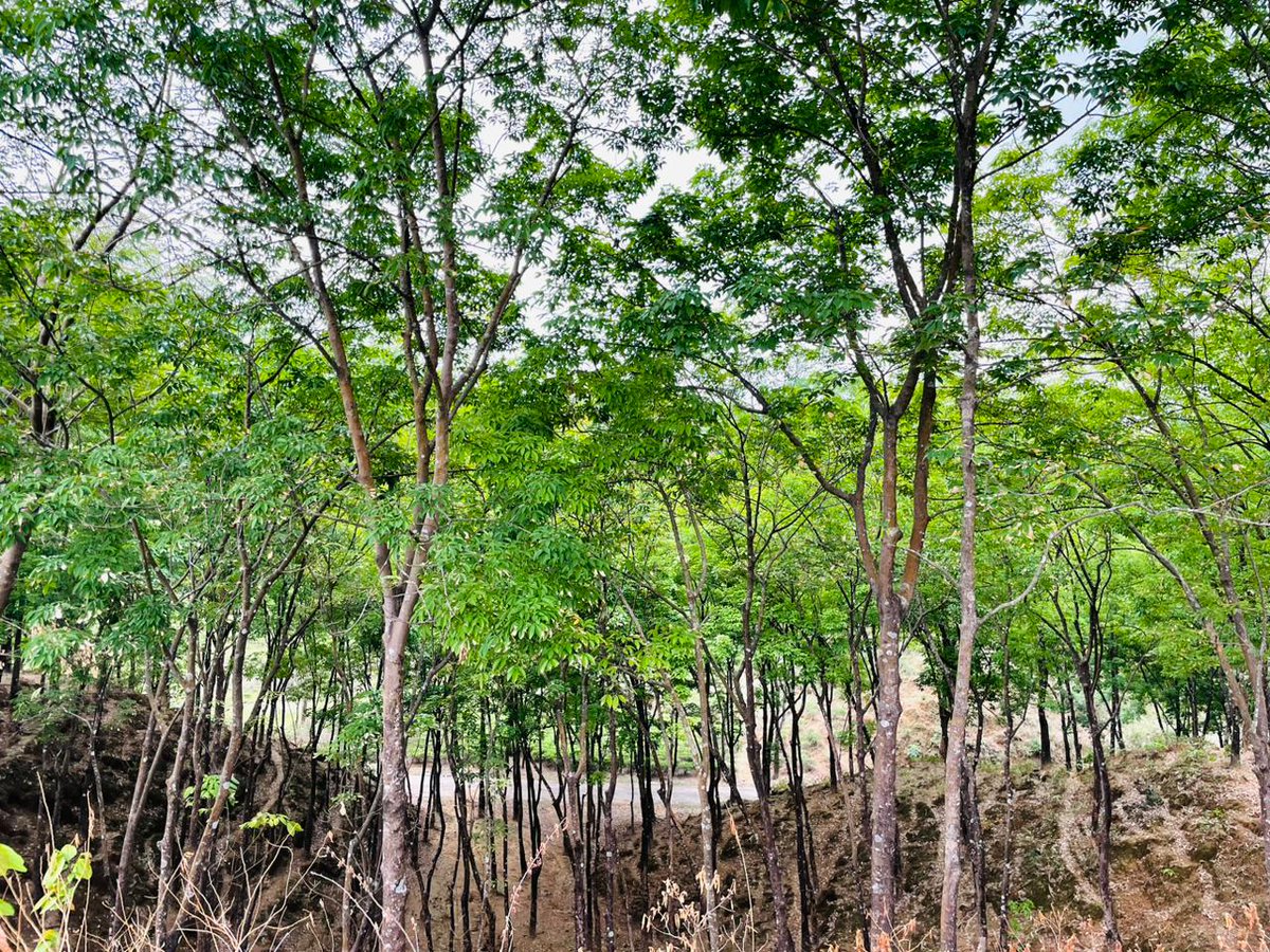 tamjid🇵🇸🛺 tweet media