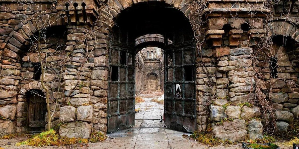 Эта страна tweet media