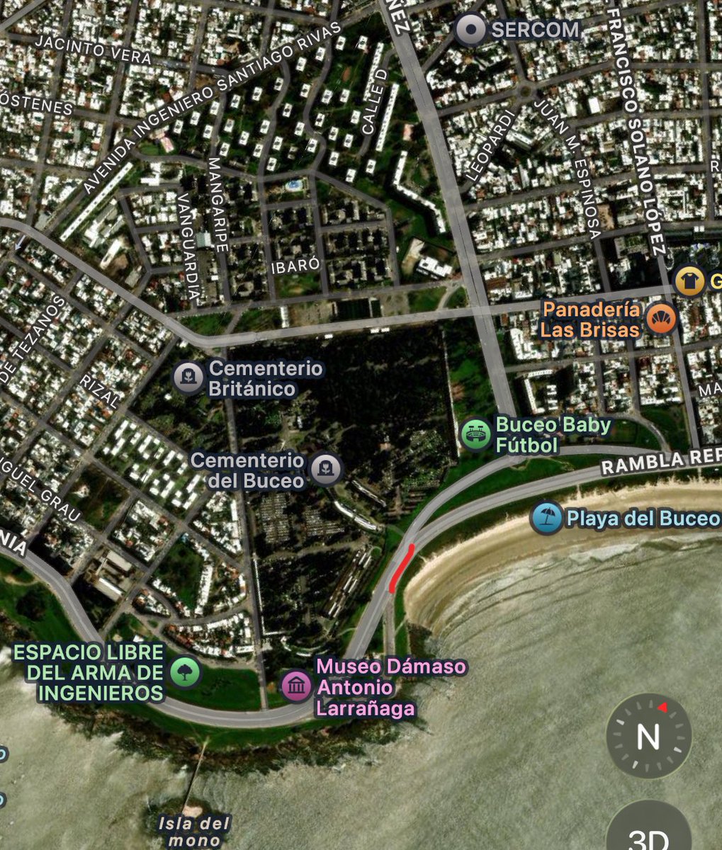 Hernan.Federico tweet media