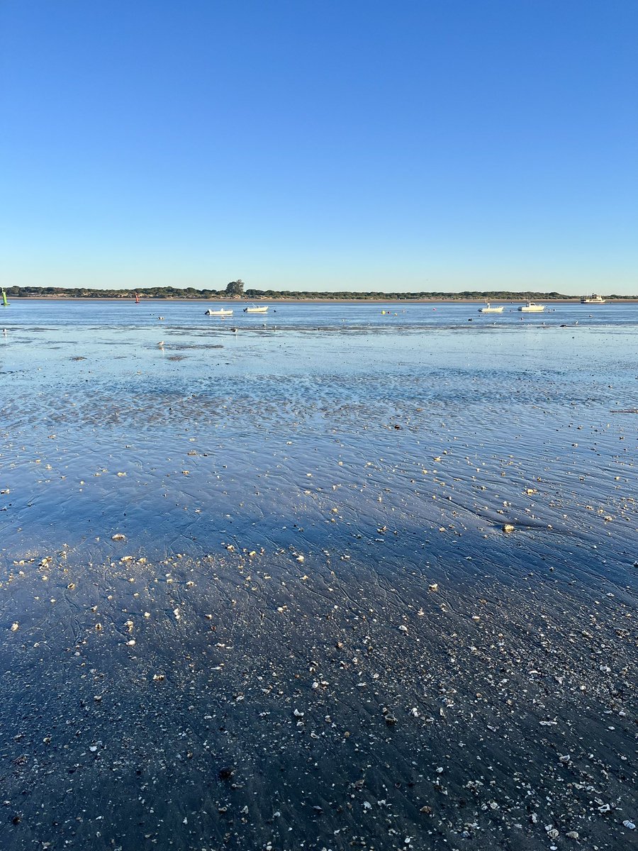 Pablo Lázaro tweet media
