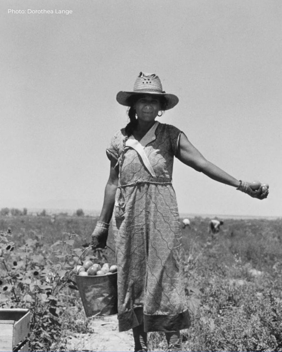 Women's March tweet media