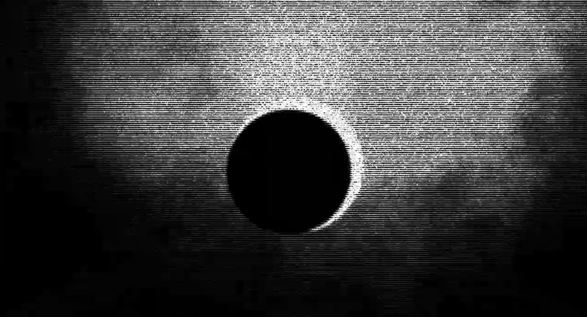 Lysteral tweet media