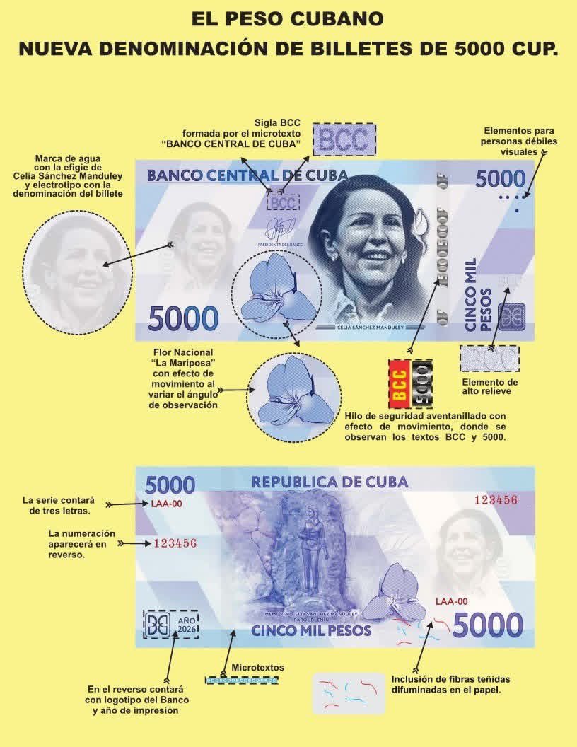 davidholamigente tweet media