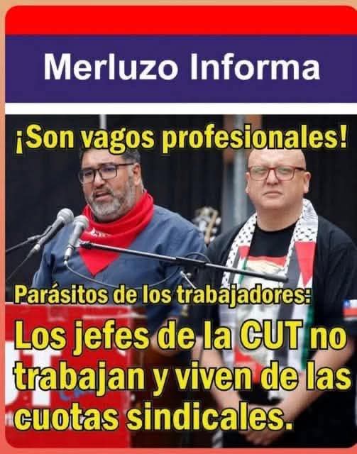 Amalia 🇨🇱🇨🇱 tweet media