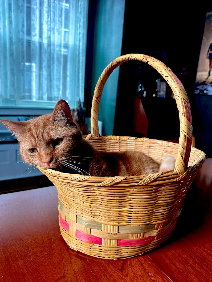 Alonna Lee 🎃 tweet media