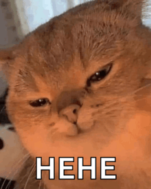 Dæm  Fella 🇺🇦🇪🇺🇬🇧🦩 tweet media